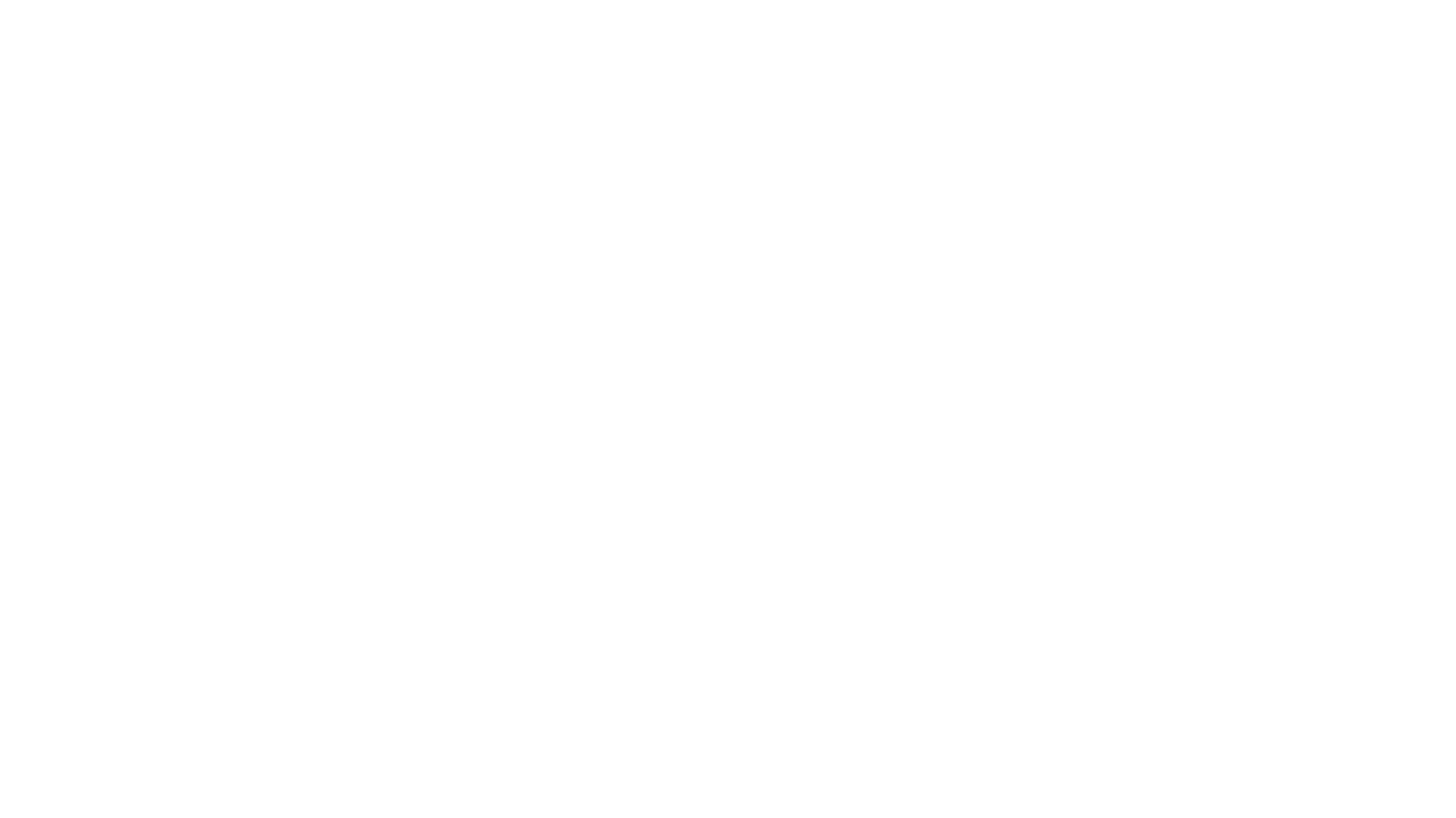 Logo Sander Extensions weiss